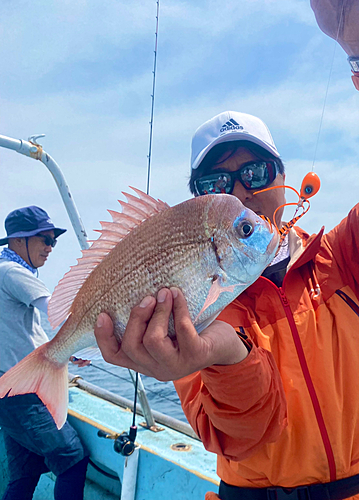 チダイの釣果