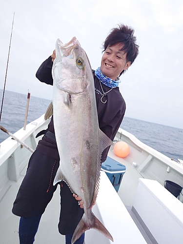 カンパチの釣果