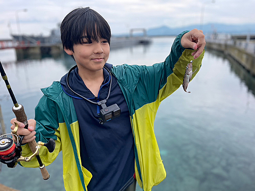 ガヤの釣果