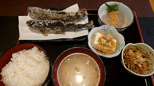 ニジマスの釣果