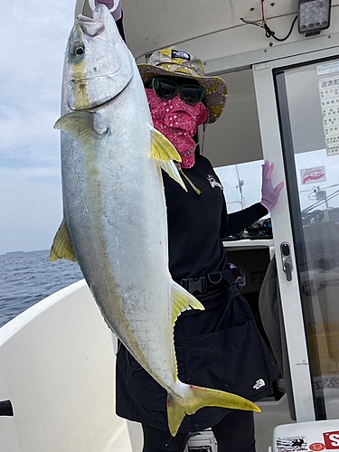 ヒラマサの釣果