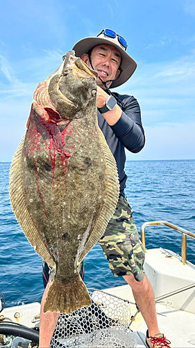 ヒラメの釣果