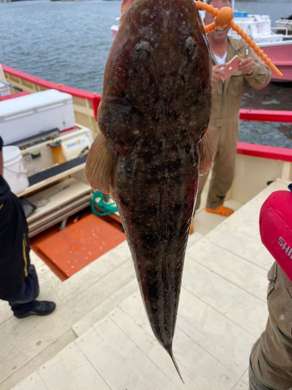 よしかずさんの釣果 1枚目の画像