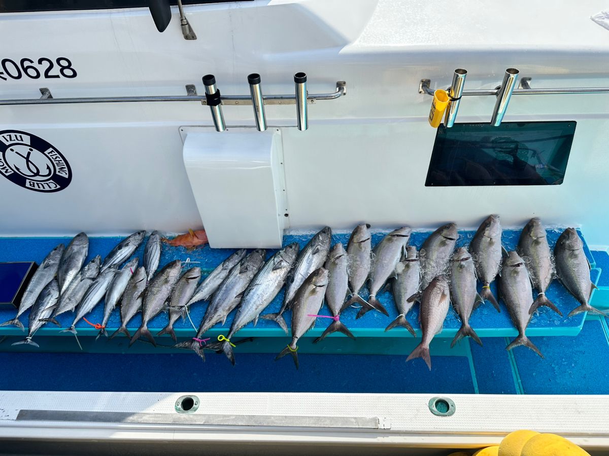 nishiyan_さんの釣果 2枚目の画像