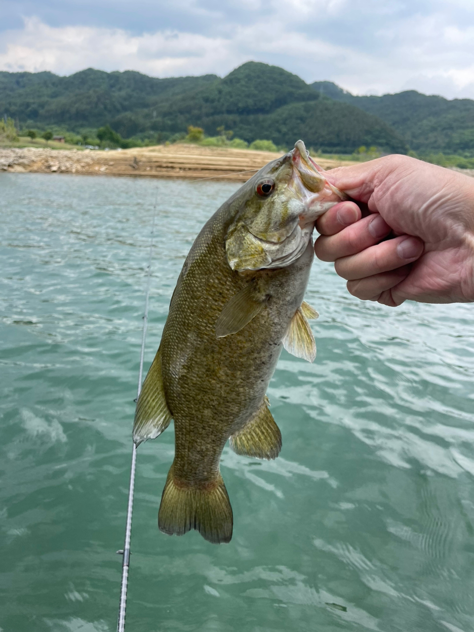 スモールマウスバス