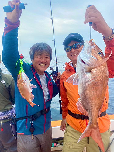 マダイの釣果