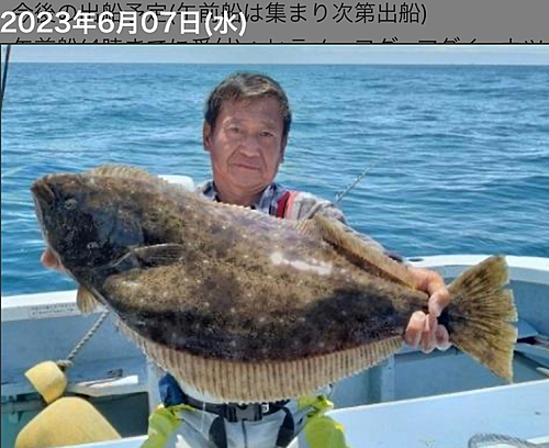 ヒラメの釣果