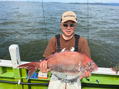 マダイの釣果