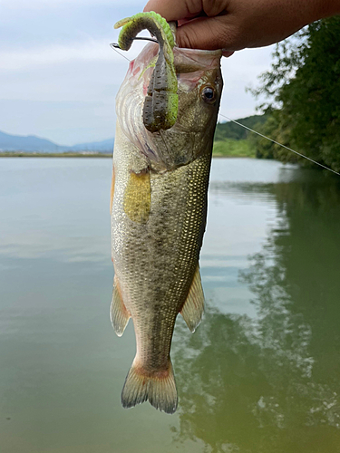 釣果