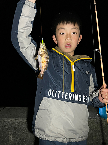 キンメバルの釣果