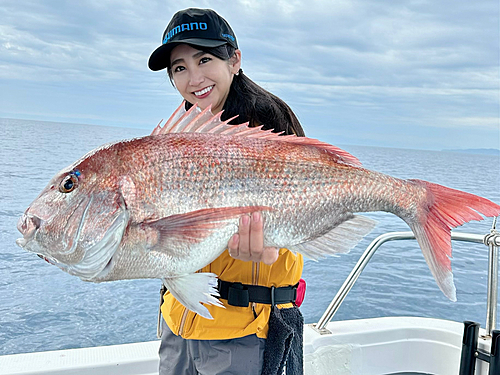 マダイの釣果