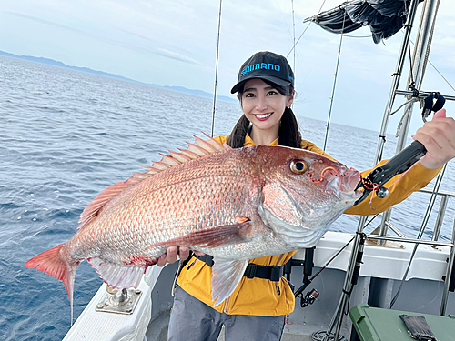 マダイの釣果