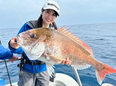 マダイの釣果