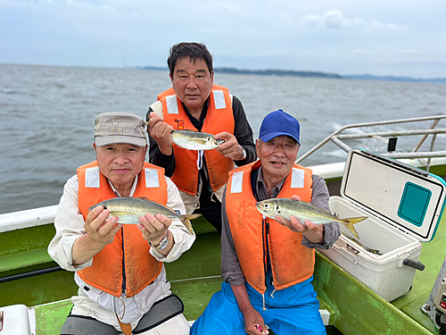 マアジの釣果