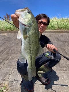 ブラックバスの釣果