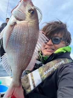 マダイの釣果