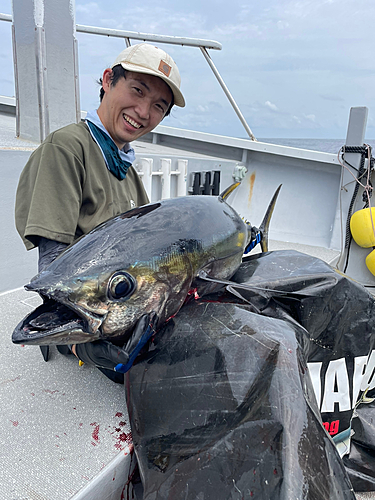 メバチマグロの釣果