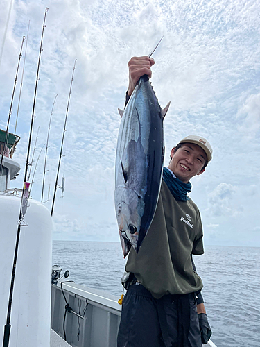 カツオの釣果