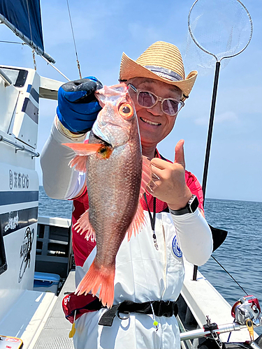 アカムツの釣果