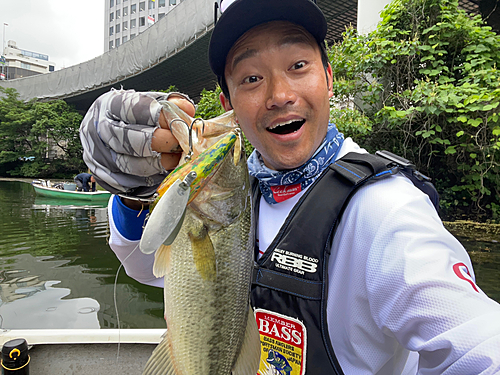 ブラックバスの釣果