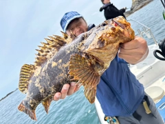 タケノコメバルの釣果