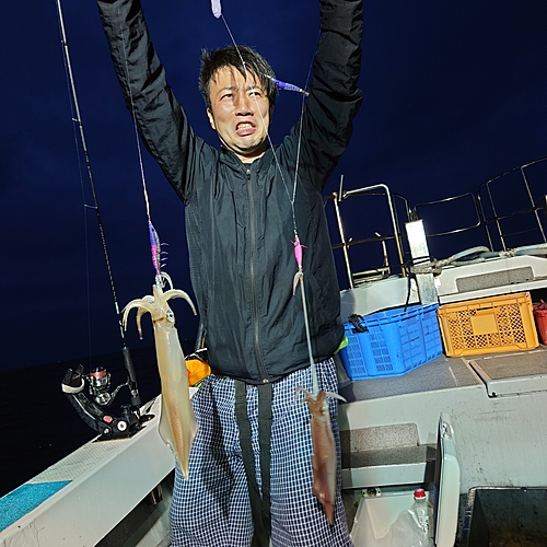 ヤリイカの釣果