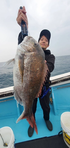 タイの釣果