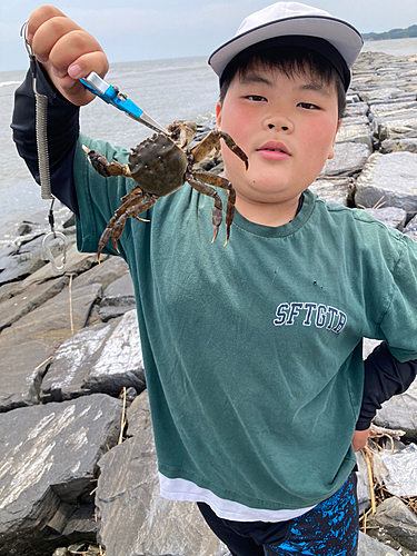 カニの釣果