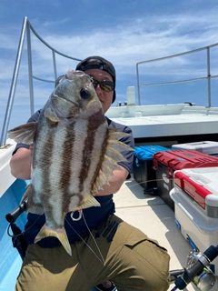 ヒゲダイの釣果