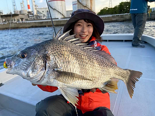 キチヌの釣果