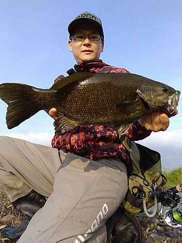 スモールマウスバスの釣果