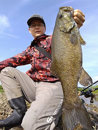 スモールマウスバスの釣果