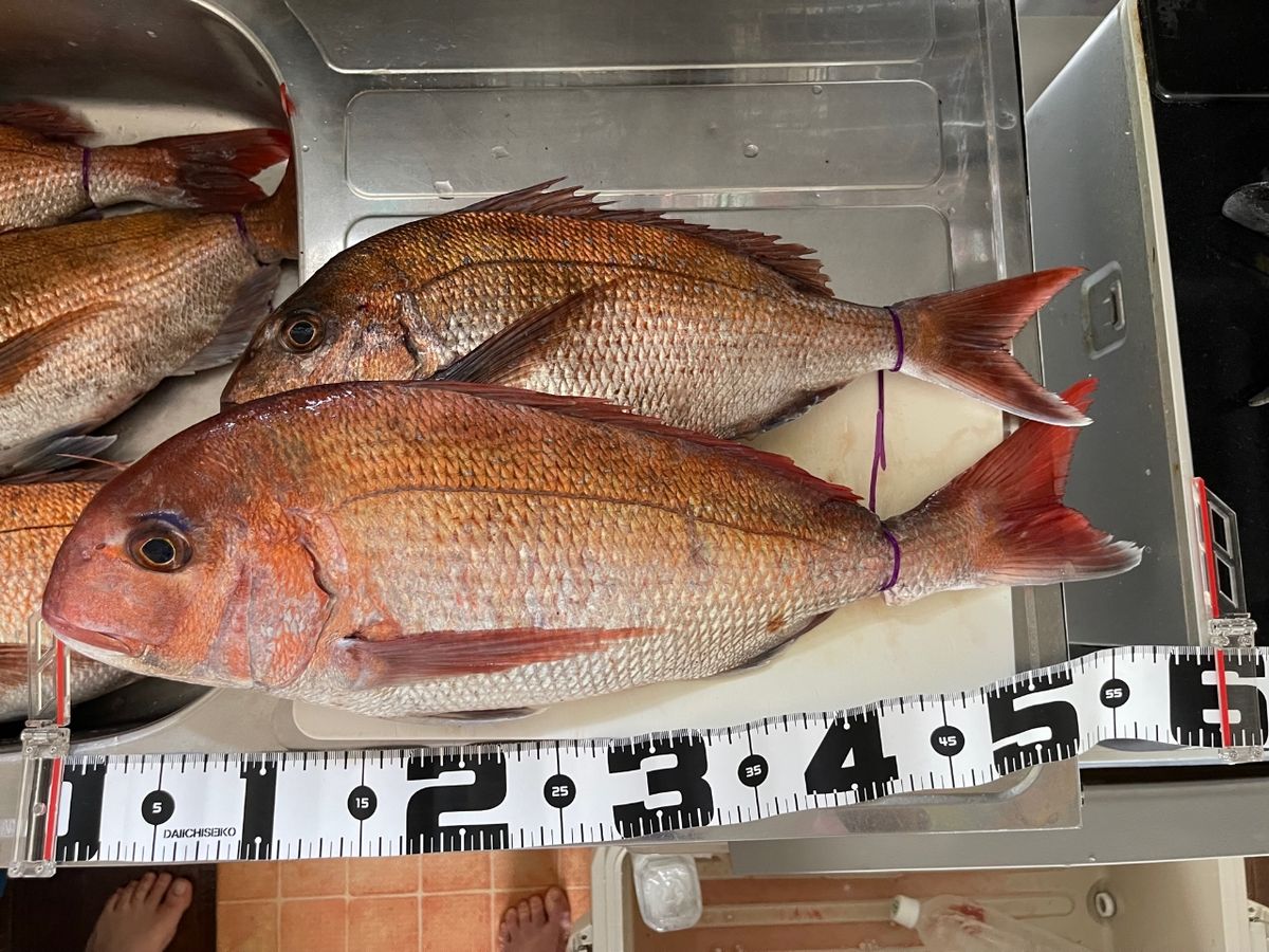 ツインスナイパーさんの釣果 3枚目の画像