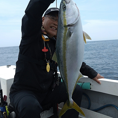 ワラサの釣果