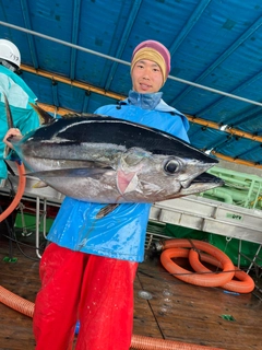 メバチマグロの釣果