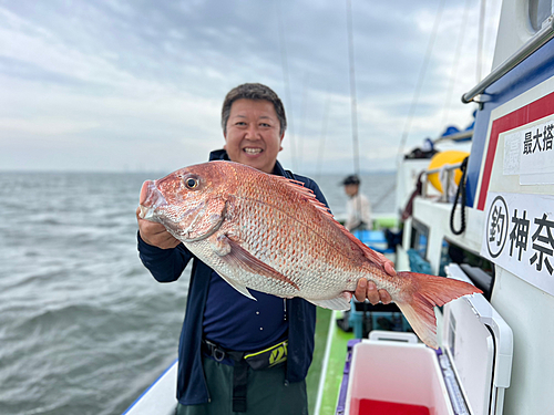 マダイの釣果