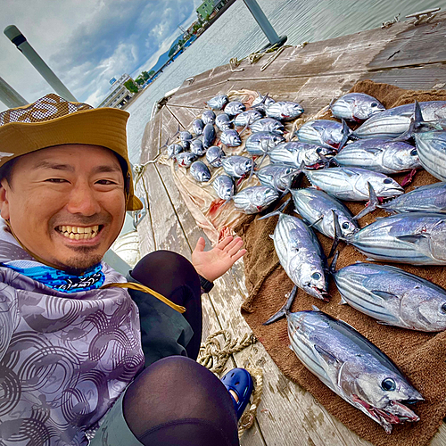 カツオの釣果