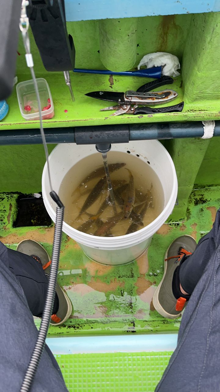 Reefkeeperさんの釣果 3枚目の画像