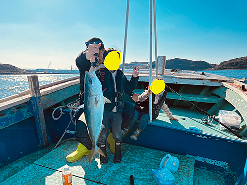 ブリの釣果