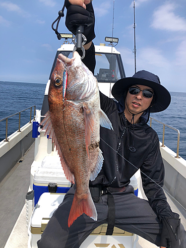 マダイの釣果