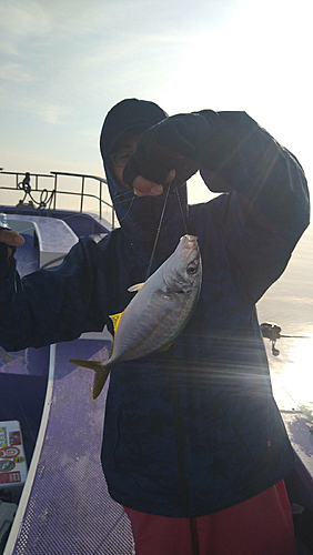 シマアジの釣果