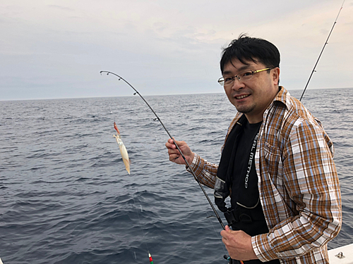 ヤリイカの釣果