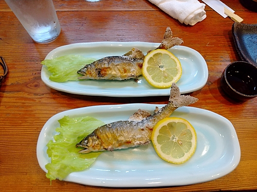 アユの釣果