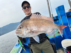 マダイの釣果