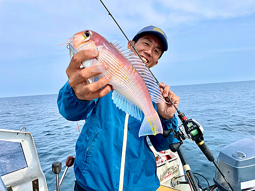 アマダイの釣果