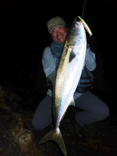 ハマチの釣果