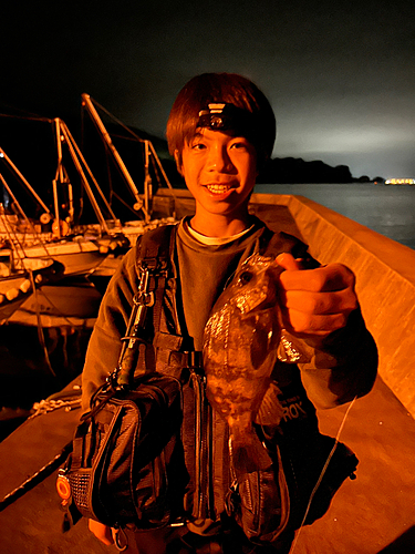 メバルの釣果