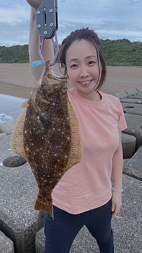 ヒラメの釣果