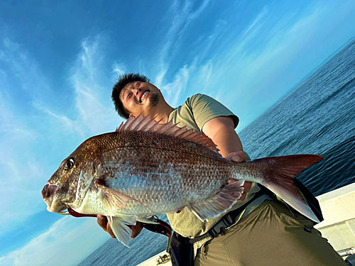 タイの釣果