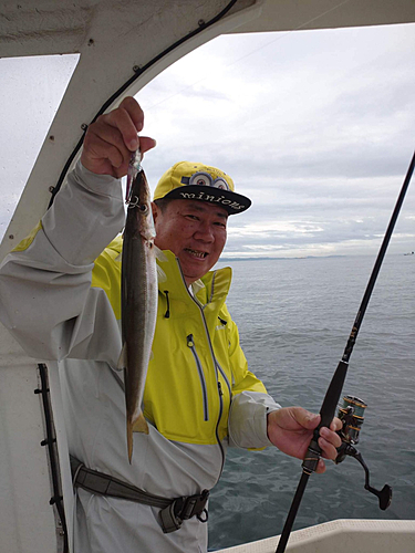 カマスの釣果